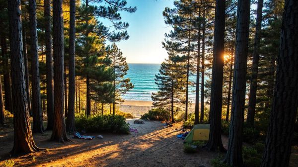 Découvrez les meilleurs emplacements de camping près de Lacanau